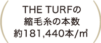 THE TURFの縮毛糸の本数約181,440本/㎡